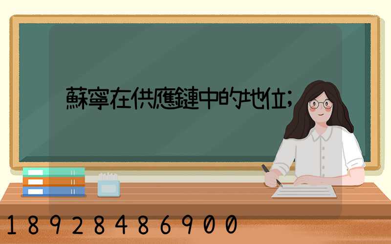 蘇寧在供應鏈中的地位