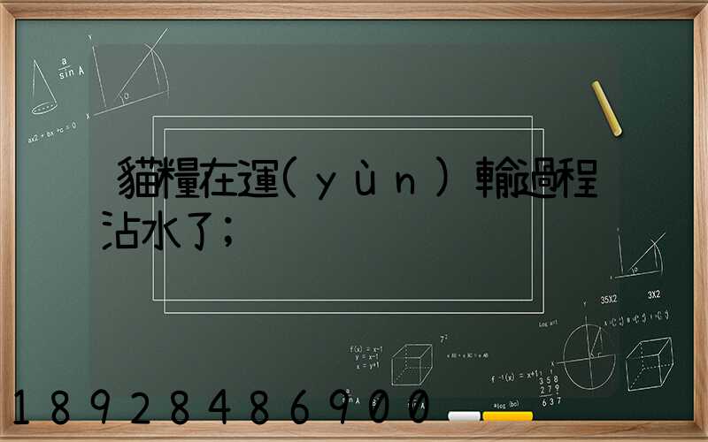 貓糧在運(yùn)輸過程沾水了