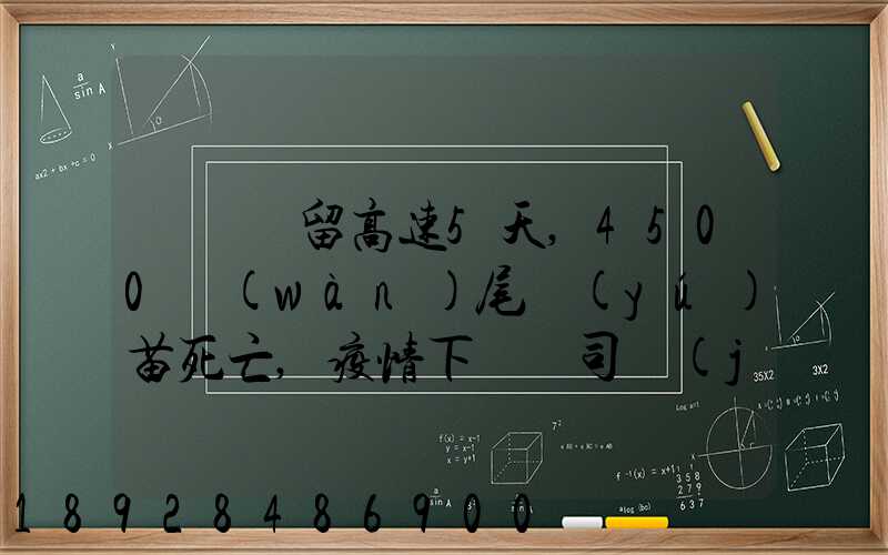 貨車滯留高速5天,4500萬(wàn)尾魚(yú)苗死亡,疫情下貨車司機(jī)有多不易