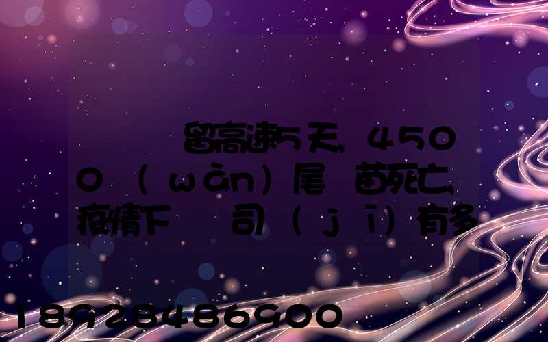 貨車滯留高速5天,4500萬(wàn)尾魚苗死亡,疫情下貨車司機(jī)有多不易