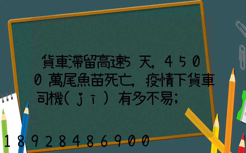 貨車滯留高速5天,4500萬尾魚苗死亡,疫情下貨車司機(jī)有多不易
