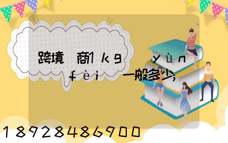 跨境電商1kg運(yùn)費(fèi)一般多少