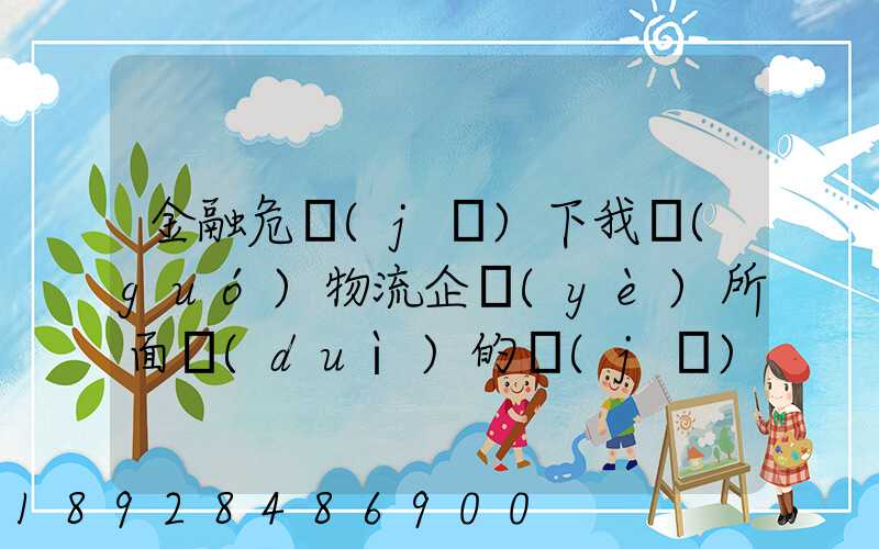 金融危機(jī)下我國(guó)物流企業(yè)所面對(duì)的機(jī)遇和挑戰(zhàn)