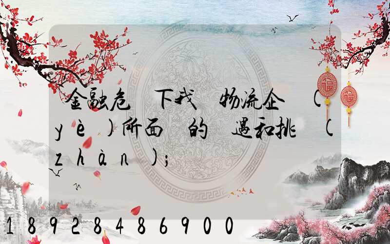 金融危機下我國物流企業(yè)所面對的機遇和挑戰(zhàn)