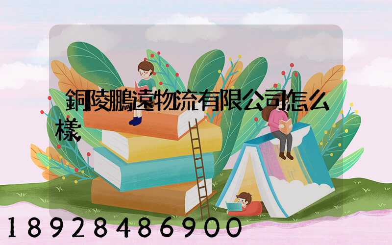 銅陵鵬遠物流有限公司怎么樣