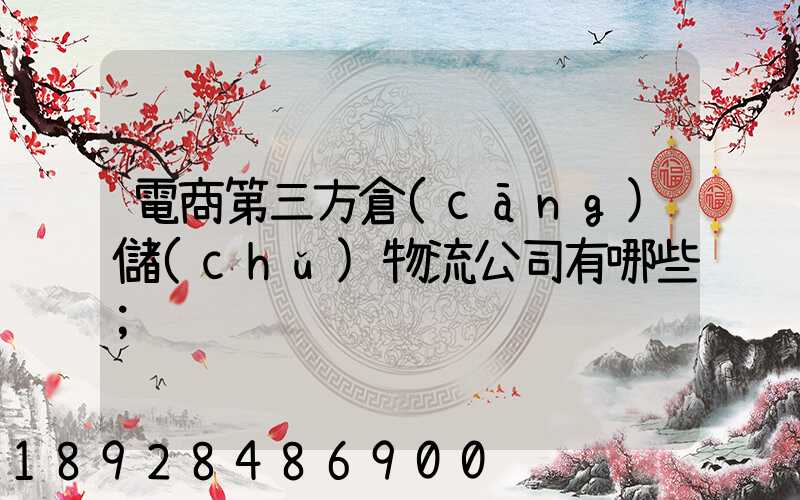 電商第三方倉(cāng)儲(chǔ)物流公司有哪些
