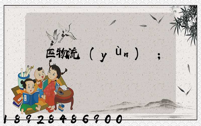 馬匹物流運(yùn)輸